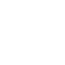 Icon twitter