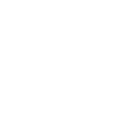 Icon étoiles blanches
